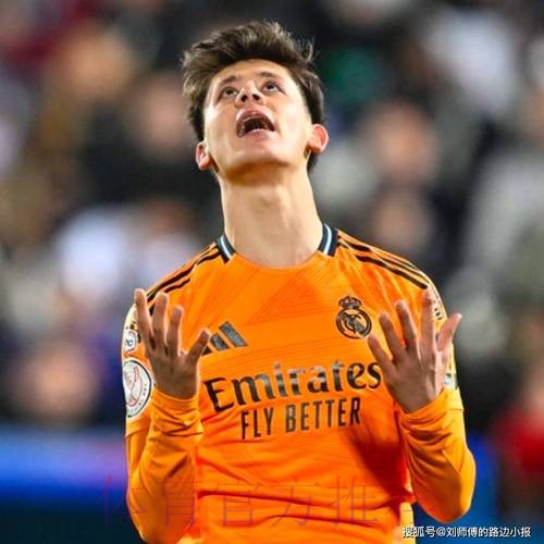 安切洛蒂告诉厄德高他是球队重要一员 新赛季有机会